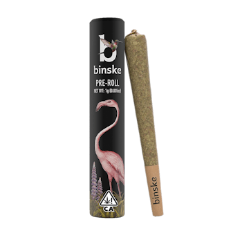 Binske 1g Infused Preroll Eden's Envy